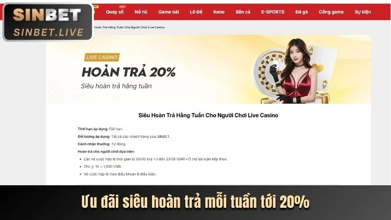 Người chơi đang tận hưởng trò chơi một cách có trách nhiệm